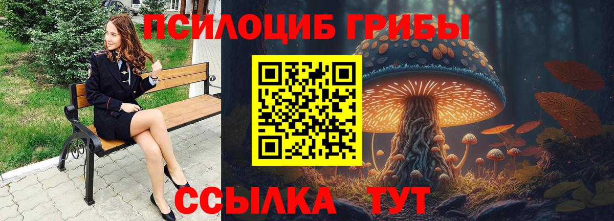 Галлюциногенные грибы Magic Shrooms  Вход с VPN  где продают   Кунгур  Псилоцибиновые грибы прущие грибы 